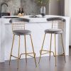 Bar Stool Set of 2, Luxury Velvet High Bar Stool with Metal Legs and Soft Back