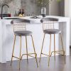 Bar Stool Set of 2, Luxury Velvet High Bar Stool with Metal Legs and Soft Back